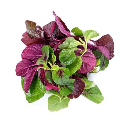 Rau Dền Hữu cơ (250g)
