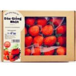 Dâu Tây Giống Nhật (250g)