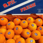 Quýt Úc 2PH Premium – New South Wales | Không Hạt • Dễ Bóc • Ngọt Thanh - Ảnh 4
