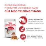 Pate ROYAL CANIN 85g Cho Mèo (Hộp 2 – 24 Gói) Nhiều Hương Vị - Ảnh 3