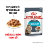 Pate ROYAL CANIN 85g Cho Mèo (Hộp 2 – 24 Gói) Nhiều Hương Vị - Ảnh 4