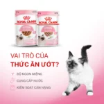 Pate ROYAL CANIN 85g Cho Mèo (Hộp 2 – 24 Gói) Nhiều Hương Vị - Ảnh 5