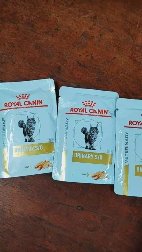 Pate ROYAL CANIN 85g Cho Mèo (Hộp 2 – 24 Gói) Nhiều Hương Vị photo review